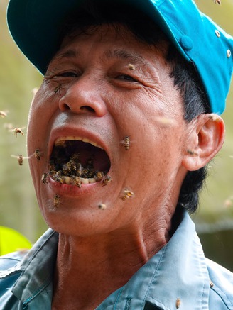 Người đàn ông miền Tây với biệt tài 'dụ' ong, ngậm cả trăm con ong trong miệng