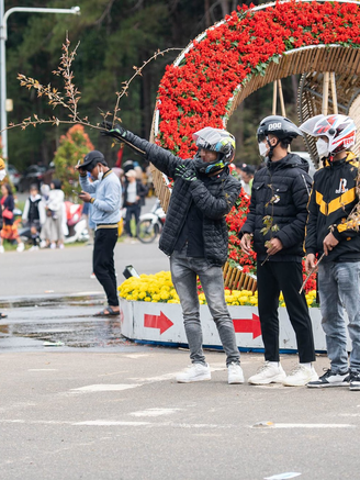 Dân mạng bức xúc nữ du khách nhổ trộm hoa ở khu du lịch Măng Đen