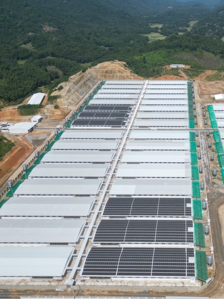 Dân bức xúc vì trang trại nuôi lợn công nghệ cao ô nhiễm, bốc mùi hôi thối