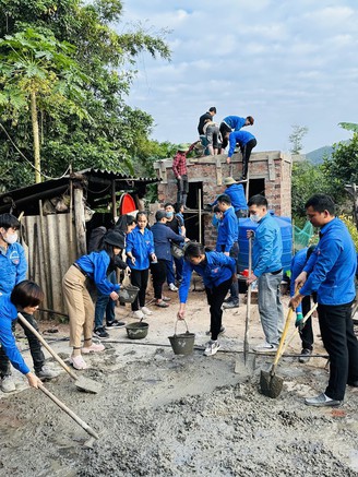 350 ngày công tình nguyện để xóa nhà tạm