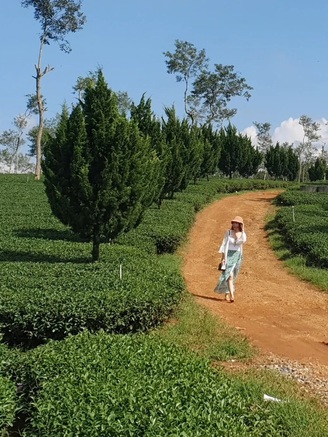 Những gợi ý chơi tết Dương lịch không đông đúc, giá hợp lý...