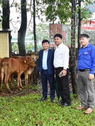 1,5 tỉ đồng mua bò giống, gà giống, cây con... tặng thanh niên miền núi Quảng Trị