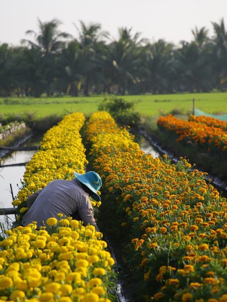 Những bức hình khiến nhiều người nôn nao, mong về quê đón tết sớm