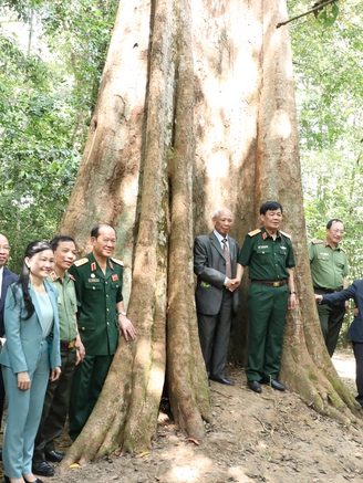 Bình Phước: Công nhận quần thể 162 cây di sản Việt Nam tại rừng Mã Đà