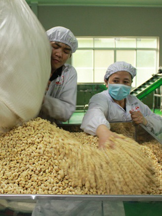 Cảnh báo thủ đoạn lừa đảo xuất khẩu ở thị trường Ý