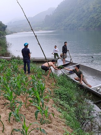 Quảng Bình: Nam sinh lớp 9 đuối nước ở khu vực cầu Ba Tâm