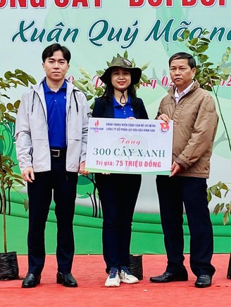 Tết trồng cây ở Quảng Ngãi: Trồng 300 cây xanh tại các nhà văn hóa