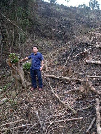 Quảng Bình: 7 ha rừng tự nhiên bị đốt, phá ở giáp ranh 2 huyện miền núi