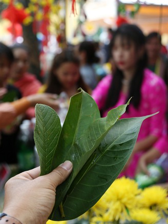 Phiên chợ lá 'độc nhất vô nhị' ở Tây Ninh