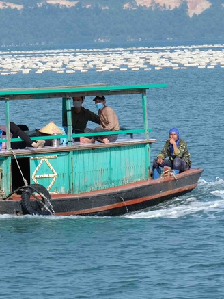 Quảng Ninh: Đắm tàu ở Vân Đồn, 1 ngư dân tử nạn