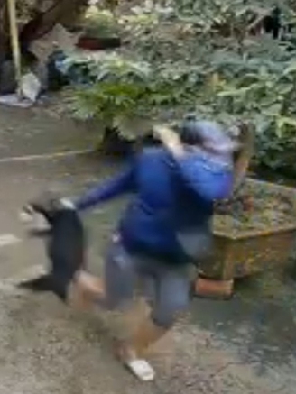 Bình Định: Truy tìm thủ phạm xô cổng xông vào sân bắt trộm chó giữa ban ngày