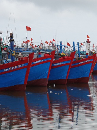 Quảng Ngãi: Phạt hành chính, tước chứng chỉ hành nghề 4 thuyền trưởng