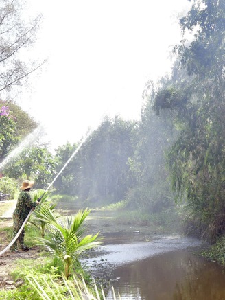 Cà Mau: Hơn 4.000 ha rừng nguy cơ cháy cấp nguy hiểm