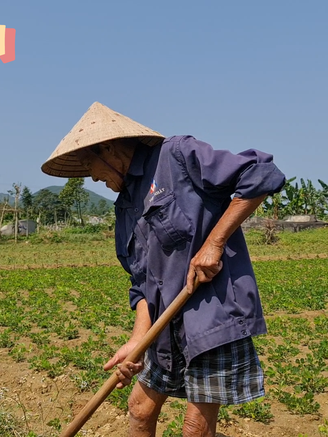 Làng trường thọ xứ Huế: Nơi các bô lão trên 80 vẫn ngâm thơ, làm ruộng