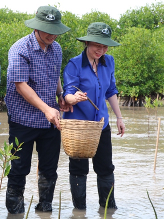 Phó Chủ tịch nước Võ Thị Ánh Xuân trồng cây xanh tại mũi Cà Mau