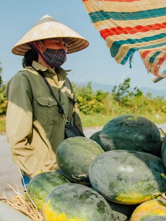 Dưa hấu rớt giá, nông dân lo sốt vó vì nguy cơ lỗ nặng