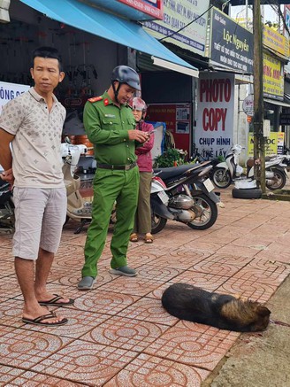 Vụ 2 học sinh tiểu học bị chó béc-giê cắn: Xét nghiệm thấy chó mắc bệnh dại trước đó