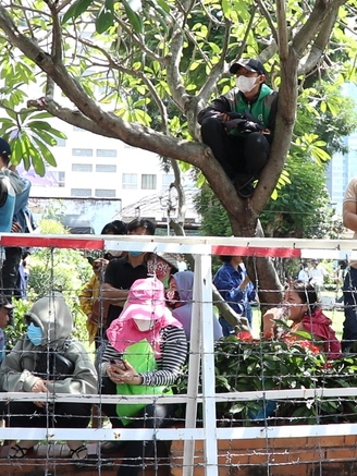 Vụ án Nguyễn Phương Hằng: Người hiếu kỳ leo cây công viên xem xét xử