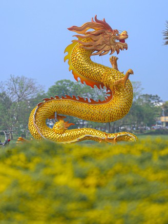 Linh vật rồng xứ Huế khổng lồ uốn lượn: Được tạo hình từ kiến trúc và bảo vật triều Nguyễn