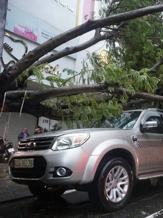 Bão Trà Mi: Đà Nẵng mưa lớn, gió mạnh khiến cây xanh ngã đổ hàng loạt