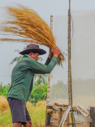 Ở nơi người nông dân 'nói không' với máy móc: Lý do là gì?