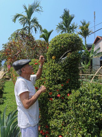 Độc lạ hàng rào tạo hình 12 con giáp: Tâm huyết gần 10 năm của chủ nhà