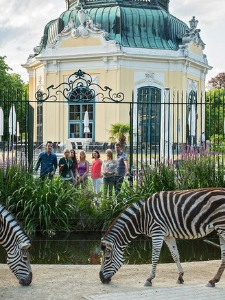 Vườn thú đa dạng và xinh đẹp tại Áo, điểm tham quan lý tưởng cho gia đình