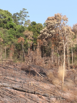 Ngăn chặn cháy rừng, Đắk Nông chỉ đạo dừng việc đốt thực bì cao điểm mùa khô