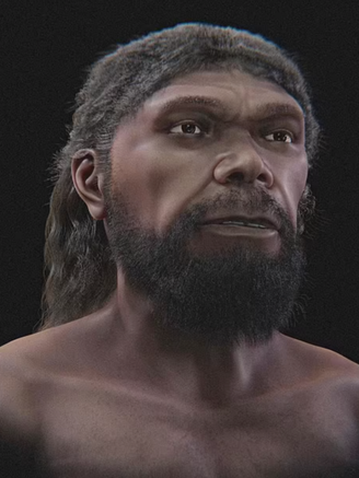 Tái tạo khuôn mặt người đàn ông 300.000 năm tuổi