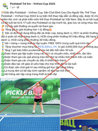 Cảnh báo các trang lừa đảo, fanpage giả mạo giải Pickleball Thanh Niên 2024 - Cúp VINFAST