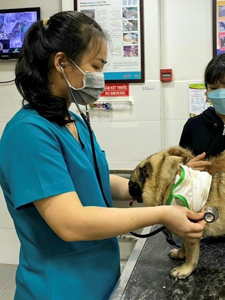 Lần đầu tiên tổ chức hội nghị da liễu thú y châu Á tại Việt Nam