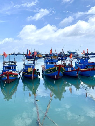 Hướng dẫn ngư dân Quảng Ngãi đăng ký, đăng kiểm cho tàu cá '3 không'