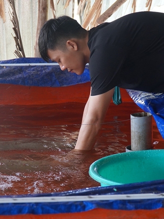 Chàng trai thu lợi nhuận hàng trăm triệu đồng nhờ nuôi cá chình