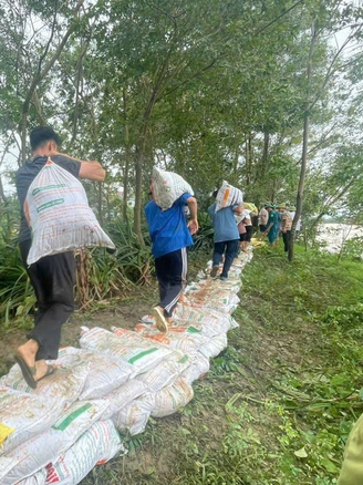 Phối hợp các đội hình thanh niên tình nguyện giúp dân khắc phục bão, lũ