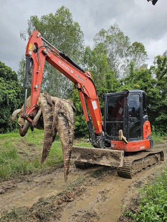 Làm thịt hơn 100 con cá sấu vì lo xổng chuồng trong lũ