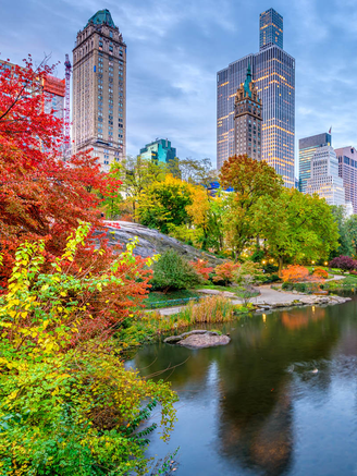 Vẻ đẹp bốn mùa rực rỡ tại Central Park, New York