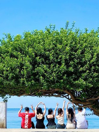 Có phải người hướng nội là... nhút nhát?