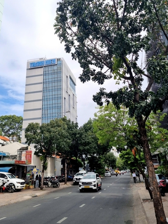 Đường Nguyễn Đình Chiểu - phần hồn đẹp đất Sài Gòn