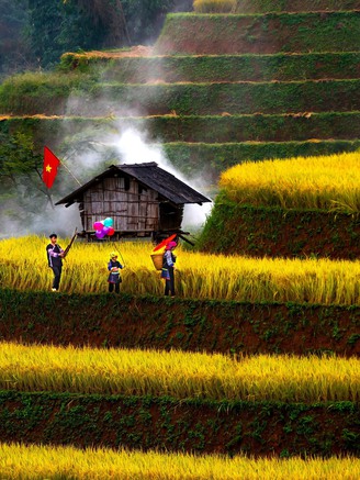 Đẹp nao lòng bức tranh mùa lúa chín ở Mù Cang Chải