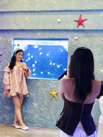 Độc đáo những quán cà phê như thủy cung thu nhỏ giữa lòng thành phố