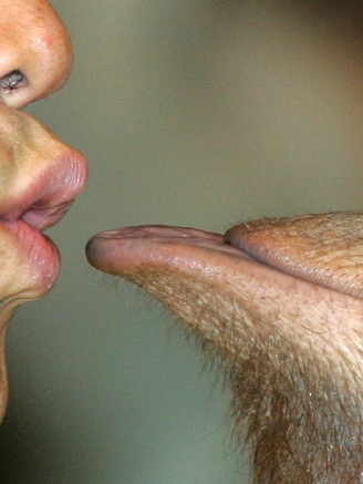 Nụ hôn đầu tiên từ 20 triệu năm trước, không phải ở người