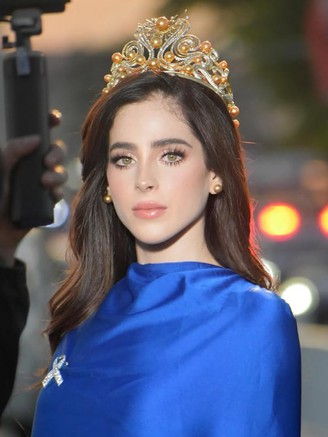 Tân Hoa hậu Hoàn vũ bị 'ném đá', chửi rủa thậm tệ sau đăng quang