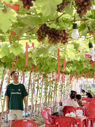 Quán cà phê hot nhất TP.HCM: Ngồi giữa vườn nho sai quả, tha hồ check-in sống ảo