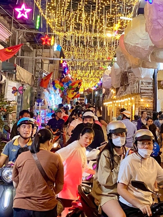 Nhiều người đến nơi này check-in ‘rừng thông Noel’