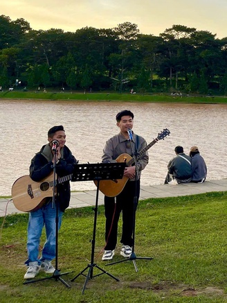 Vi vu tết Dương lịch