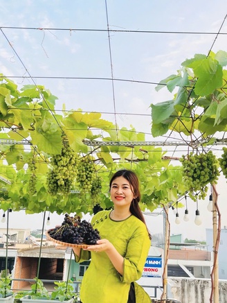 Vườn nho trên sân thượng sai trĩu quả của cô gái xinh đẹp