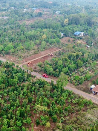 Bát nháo ‘cò đất’ dùng chiêu 'sốt đất ảo' ở Tây nguyên
