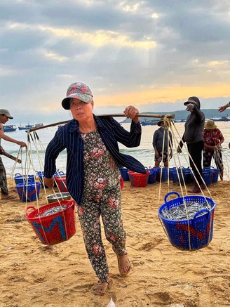 Được mùa cá cơm nhờ thời tiết thuận lợi, làng chài ven biển Phú Yên tất bật cả ngày