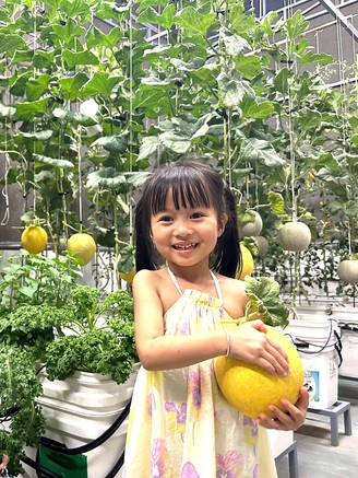 Khu vườn sân thượng cho trái quanh năm của ông bố 9X