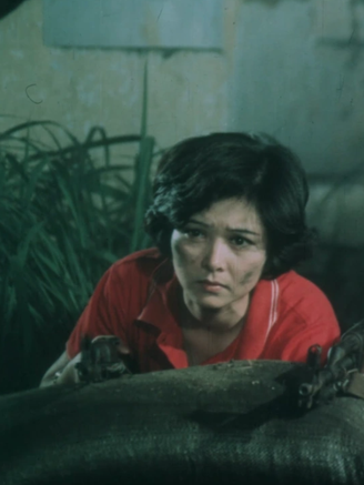 Ba mỹ nhân phim ‘Biệt động Sài Gòn’ có cuộc sống ra sao?